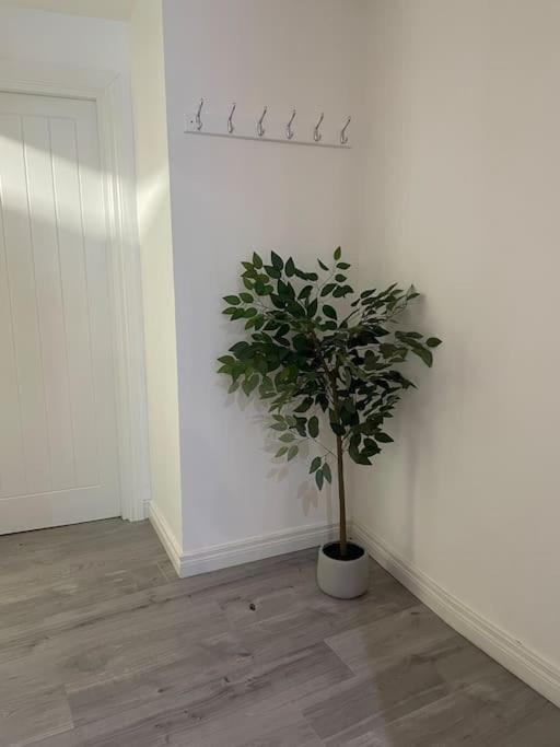 Appartement Modern 1-bed Belfast